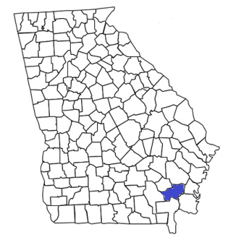 georgia fire, georgia firefighters, ga firefighters, ga fire, georgia fire department, brantley county, brantley county ems, brantley county fire apparatus, brantley county fire departments